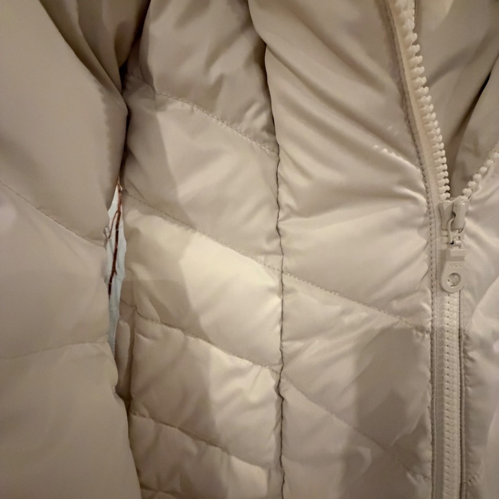 Puffer - Picture 8 of 8
